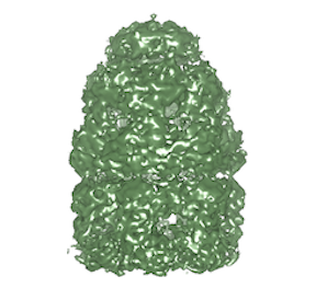 inline image