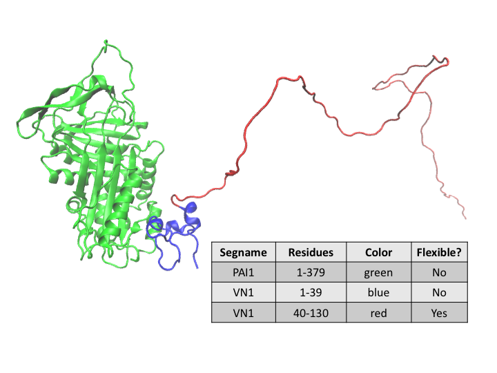 Regions of PAI/VN complex