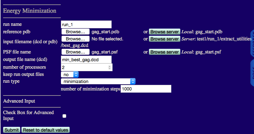 Input for the Energy Minimization module