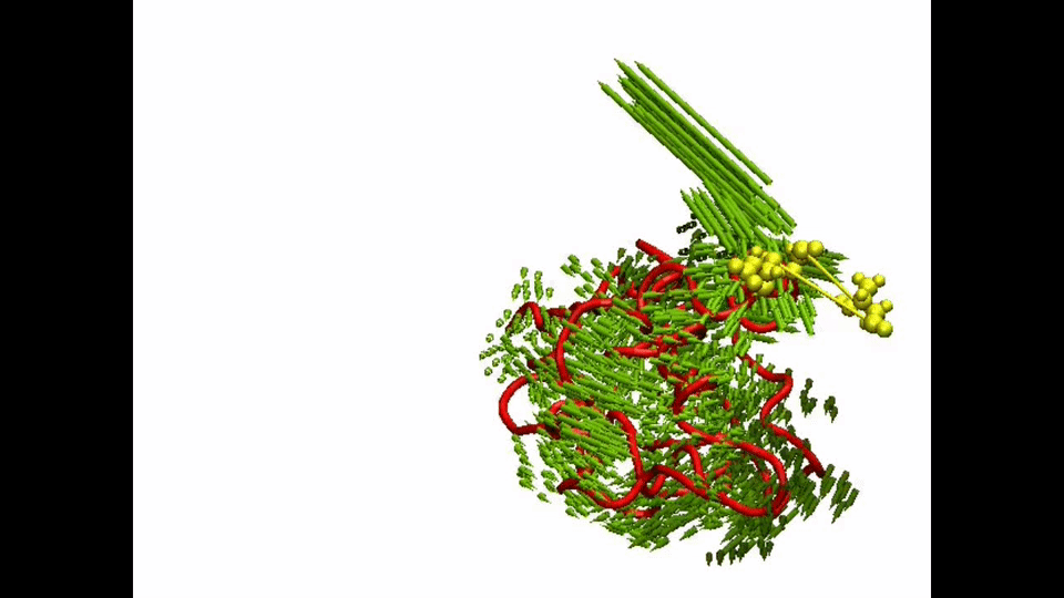 inline image