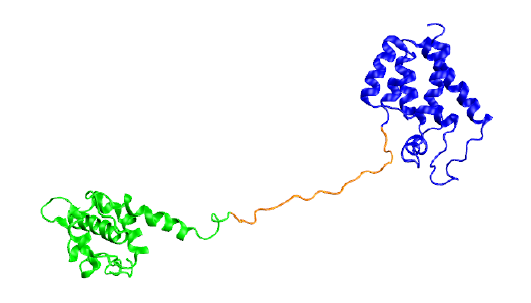 inline image
