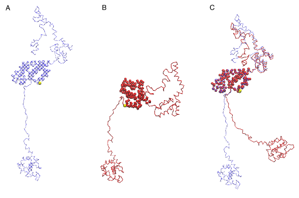 inline image