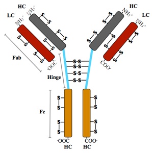 inline image